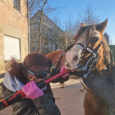 Zahnpflege muss auch sein!